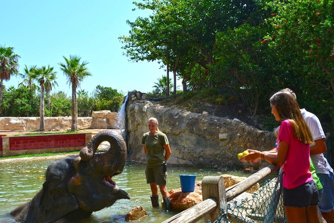 Offer Summer Terra Natura entrance ticket - How the Admission Ticket Simplifies Entry