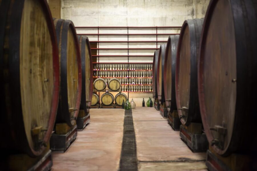 Offida: Tasting itinerary of Rosso Piceno DOC Superiore - Starting Point at Cantina Villa Pigna