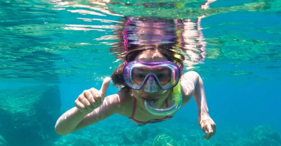 Olbia: Dolphin Watching and Snorkeling Boat Tour - Scenic Sailings Around Figarolo and Cape Figari