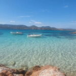 Olbia: Dolphin Watching & Swim with prosecco aperitif - Starting Point in Olbia: MOYS Marina and Berth A59