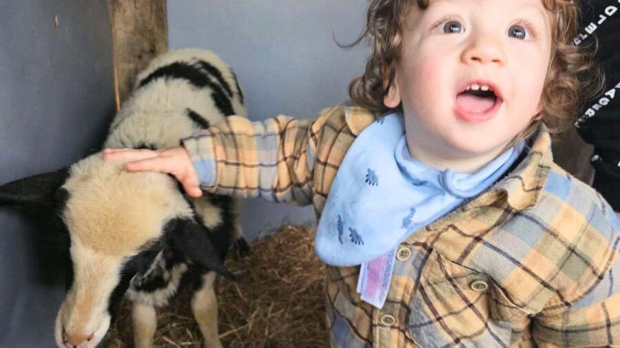 Olbia: Learn About the Wool Supply Chain from an Expert - Hand Spinning Wool into Thread