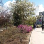 Old Riga Walking Tour / Riga Altstadt Spaziergang - Insightful Local Guides Speak Multiple Languages