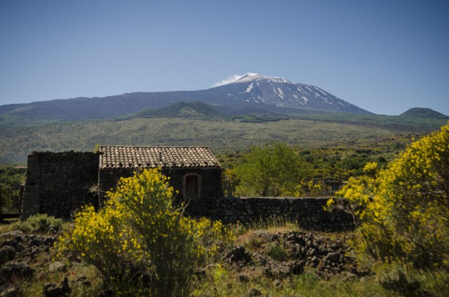 Old Sicily and Etna wine tasting tour from Taormina - From Taormina to Sicily’s Natural Wonders