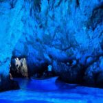 Oldest Olive Tree With Tasting And Lunch - Olive Tasting and Local Products in a Warm Family Setting