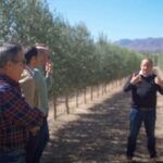 OleoAlmanzora: Guided tour olive groves and EVOO facilities - Starting at OleoAlmanzora Facilities in Pulpí