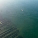 Olhão: Formosa Rota 2H - From the Olhão Port to the Heart of Ria Formosa