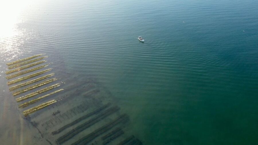Olhão: Formosa Rota 2H - From the Olhão Port to the Heart of Ria Formosa