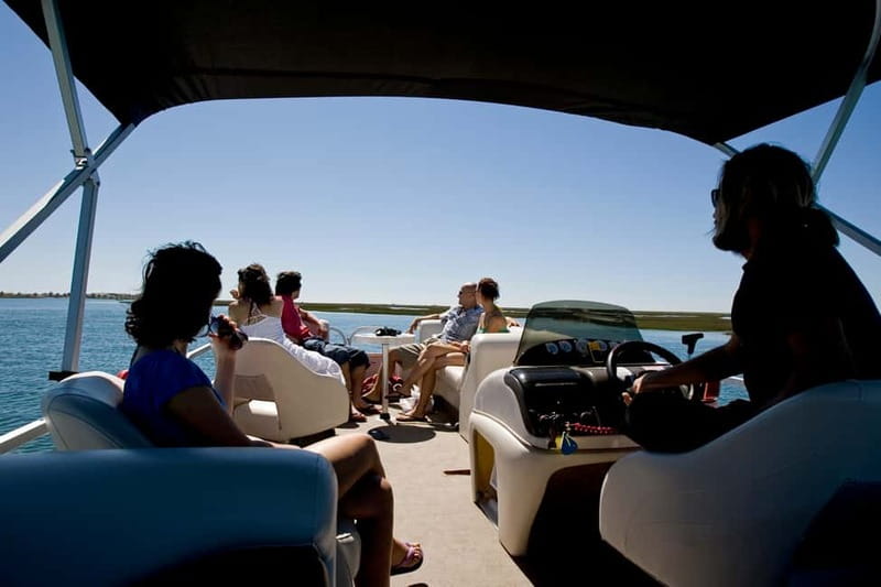 Olhão: Ria Formosa & Culatra Island Boat Trip (3.5 h) - Starting from Olhão Marina for a Scenic Lagoon Cruise