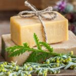 Olive harvest, visit to the oil mill and typical lunch - Hands-On Participation in Olive Harvesting