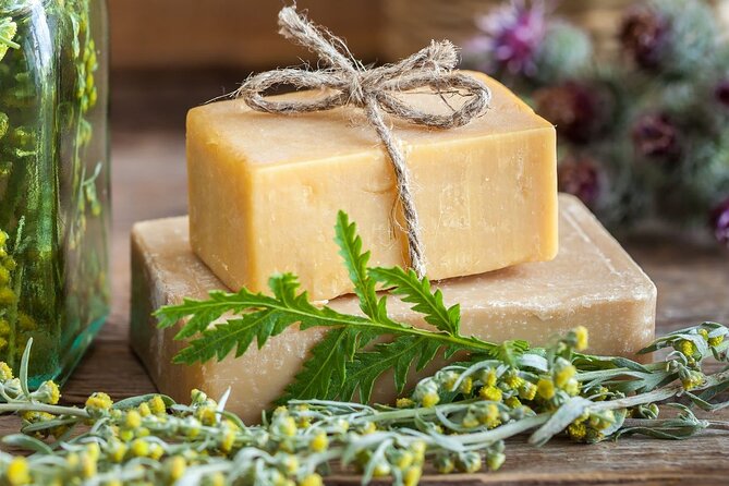 Olive harvest, visit to the oil mill and typical lunch - Hands-On Participation in Olive Harvesting