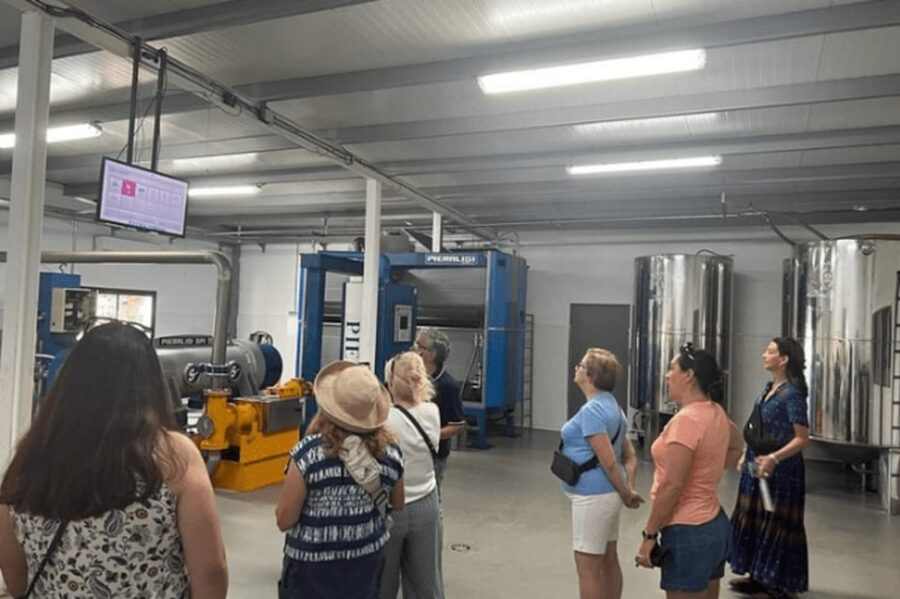 Olive Oil Factory from Sevilla Private Tour - Exploring the Olive Oil Heritage and Production Process