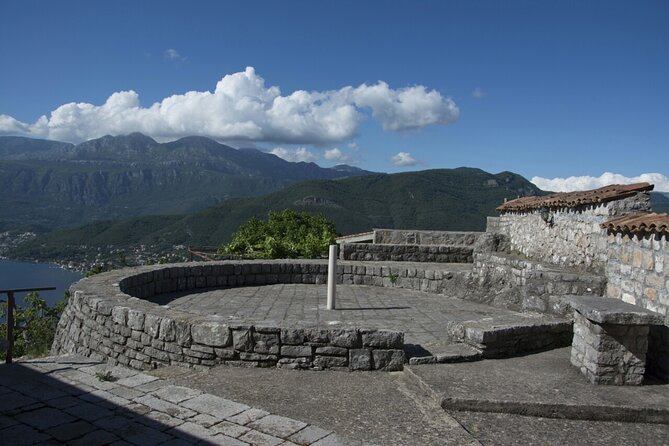 Olive oil farm to fork experience & short walking tour of Kotor - Visiting the 300-Year-Old Olive Orchard