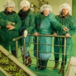 Olive Oil Tour close to Nafplio - Visiting the Village Famous for Olive Oil Production