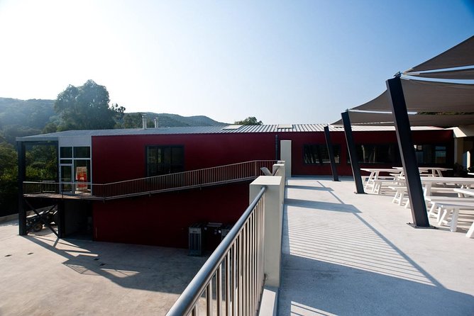 Olive Oil - Wine - Beer Private Tour (price per group of 6) - Wine Tasting at Anoskeli Winery