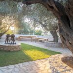 Olive Tour & Tasting - Tasting Local Delicacies in a Rustic Courtyard