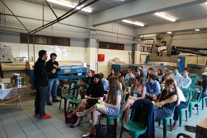 Olive Tour & Tasting - The Guided Olive Oil Tasting Experience