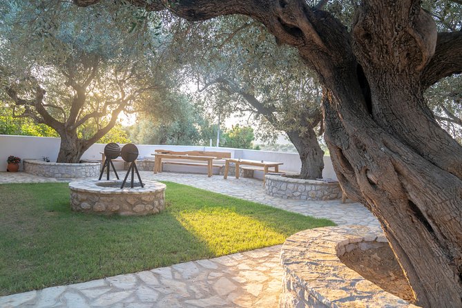 Olive Tour & Tasting - Tasting Local Delicacies in a Rustic Courtyard