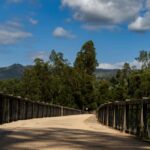 Oliveira de Frades: Ride an electric bike along the Vouga Ecopista - Starting Point: Parque Urbano de Oliveira de Frades