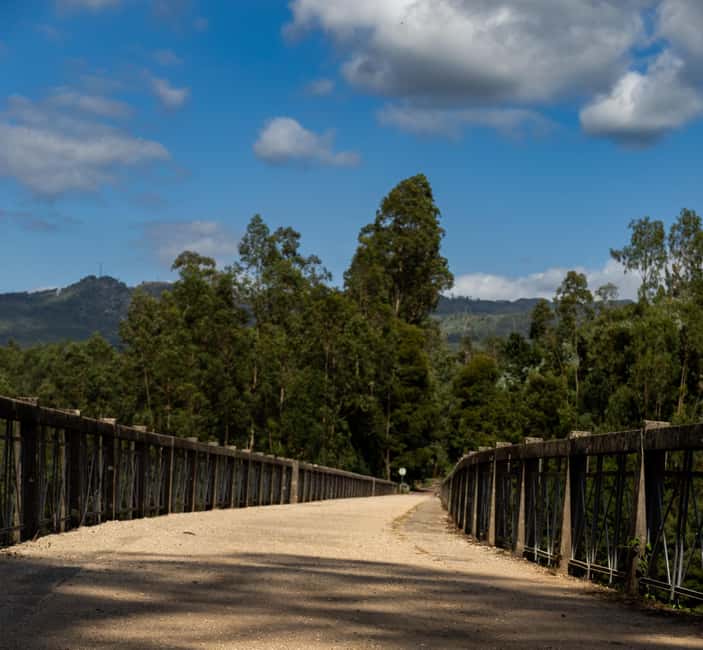 Oliveira de Frades: Ride an electric bike along the Vouga Ecopista - Starting Point: Parque Urbano de Oliveira de Frades