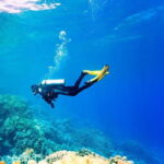 Oludeniz Half Day Scuba Diving Program - Starting Point and How the Tour Unfolds