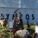 Olympos Cable Car Ride with Transfer from Belek - The Olympos Teleferik Station and Summit Experience