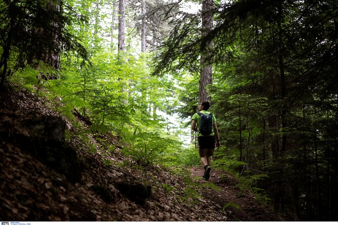 Olympus the mountain of the 12 gods of Greek mythology Smallgroup - Exploring Dion, the Ancient Greek City of Worship