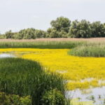 On Draculas Footsteps: 8 Days - Starting Point in Bucharest and Transportation Method