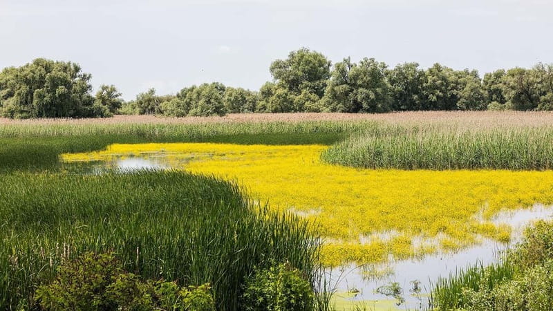 On Draculas Footsteps: 8 Days - Starting Point in Bucharest and Transportation Method