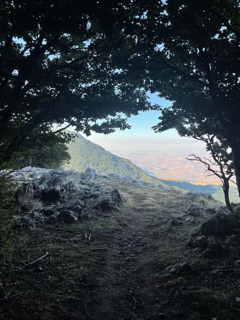 On the roof of the Madonie: Day trip to the summit of Pizzo Carbonara - Reaching the Pizzo Carbonara Summit