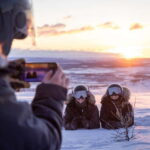 Once-in-a-lifetime Snowmobile Safari to Lapland Viewpoint - Discover Kirunas Unique Arctic Landscape