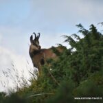One day hiking on the spectacular trails of "Piatra Craiului"-group price - Key Points