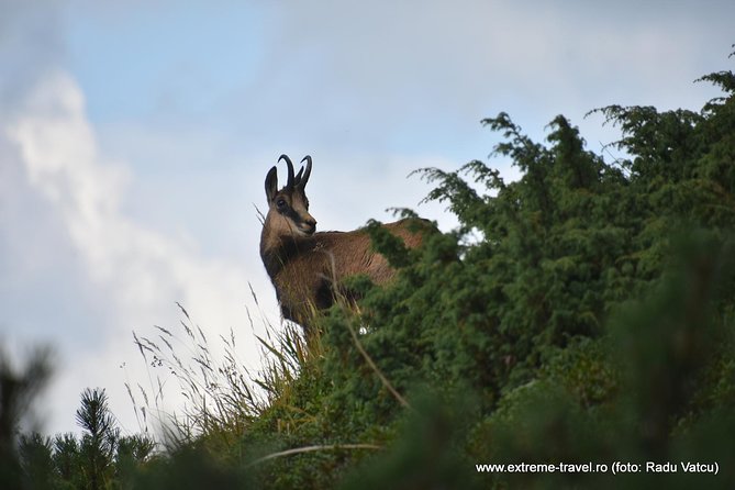 One day hiking on the spectacular trails of "Piatra Craiului"-group price - Key Points