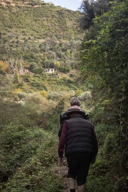 One Day Off-Road Trip in Attica - Discover the Scenic Trails and Forests of Mount Parnitha