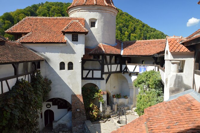 One Day Private Tour to Peles and Dracula Castles & Brasov City - Discover Brasov’s Medieval Charm and Mountain Views