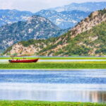 One day trip to Skadar Lake from Tivat - Exploring the Unique Flora and Fauna of Skadar National Park