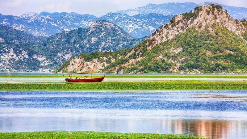 One day trip to Skadar Lake from Tivat - Exploring the Unique Flora and Fauna of Skadar National Park