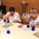 Organic Olive Grove tour & Olive oil tasting & lunch in Kalamata! - Olive Oil Tasting with a Certified Expert