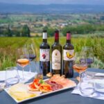 Organic Wine, Local Food Tasting & Vineyard Walk near Assisi - Vineyard Walk and Scenic Photo Stop