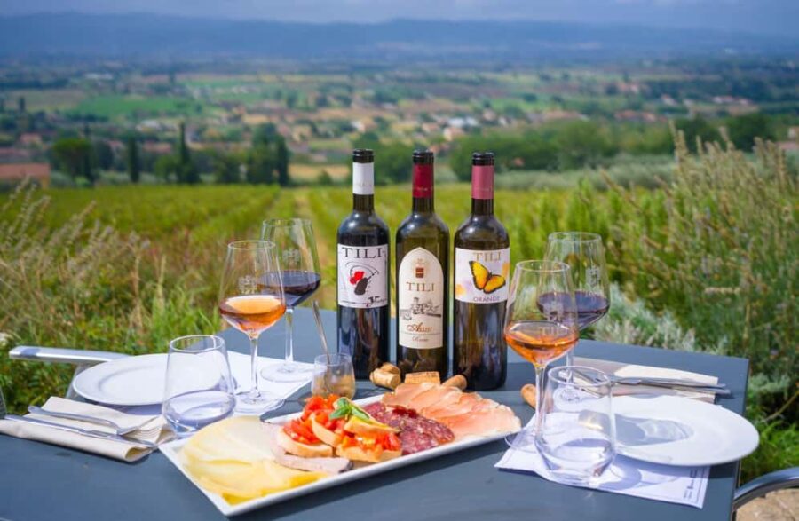 Organic Wine, Local Food Tasting & Vineyard Walk near Assisi - Vineyard Walk and Scenic Photo Stop