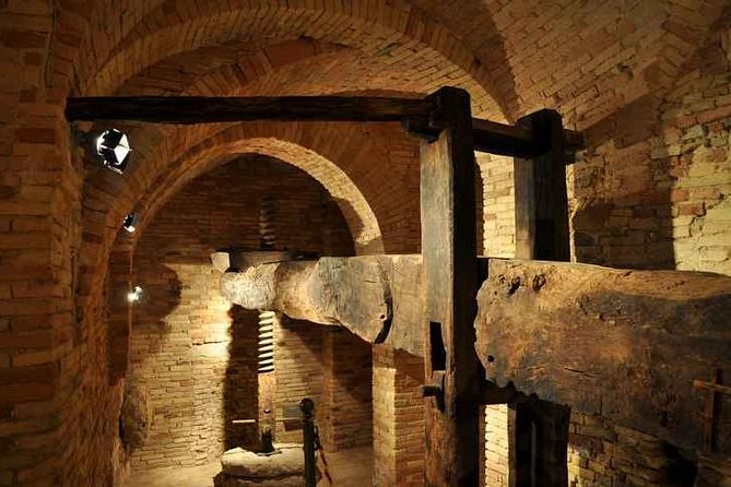 Organic Wine Tasting & tasting of EVO CantinArte OIL MUSEUM - Starting Point and Meeting Details in Bucchianico