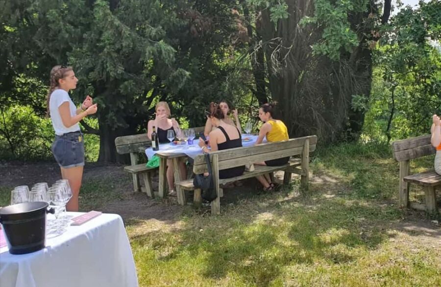 Organic Winery Visit with Wine & Food Tasting in Bologna - Authentic Organic Wines in Bologna’s Family-Run Winery