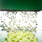 "Oro Bailén": Explore the Oil Mill + Tasting - The Location and Meeting Point in Andalusia