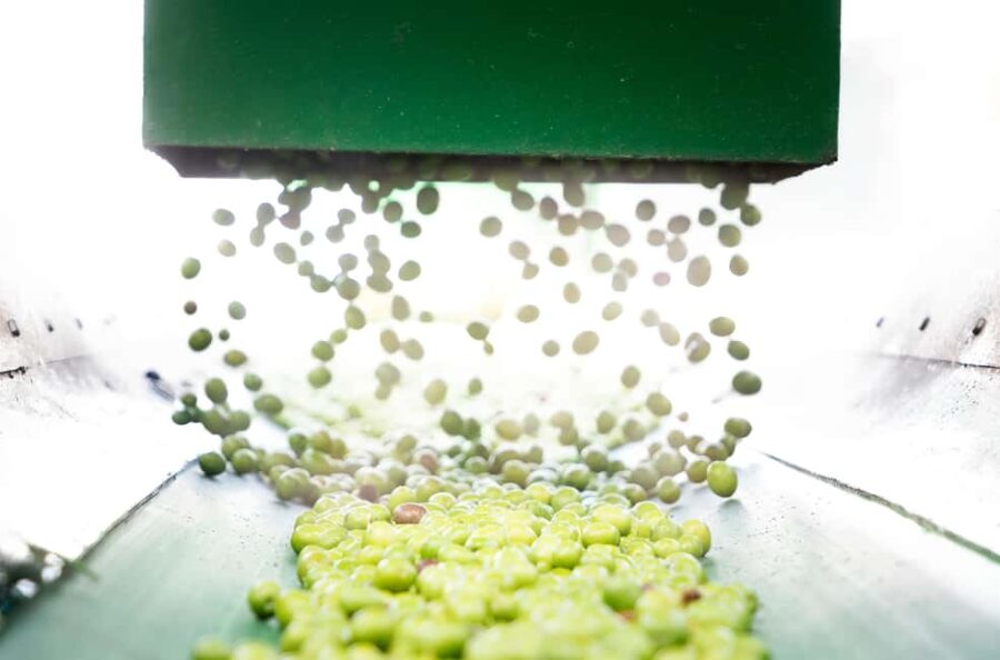 "Oro Bailén": Explore the Oil Mill + Tasting - The Location and Meeting Point in Andalusia