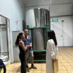 "Oro Bailén": Tour of Oro Bailen Grove + Mill + Tasting - Visiting the Olive Grove in Andalusia