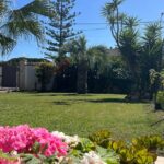 Ortigia market tour and traditional cooking lesson in the garden - Exploring Ortigia Market: Discovering Local Flavors and Food Secrets