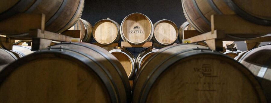 Orvieto, Castello di Corbara: cellar visit and wine tasting - Discovering the Cellar and Production Techniques