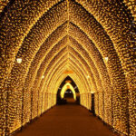 Oslo: 2-hour Christmas Private Walking Tour - Starting at the Nobel Peace Center in Oslo