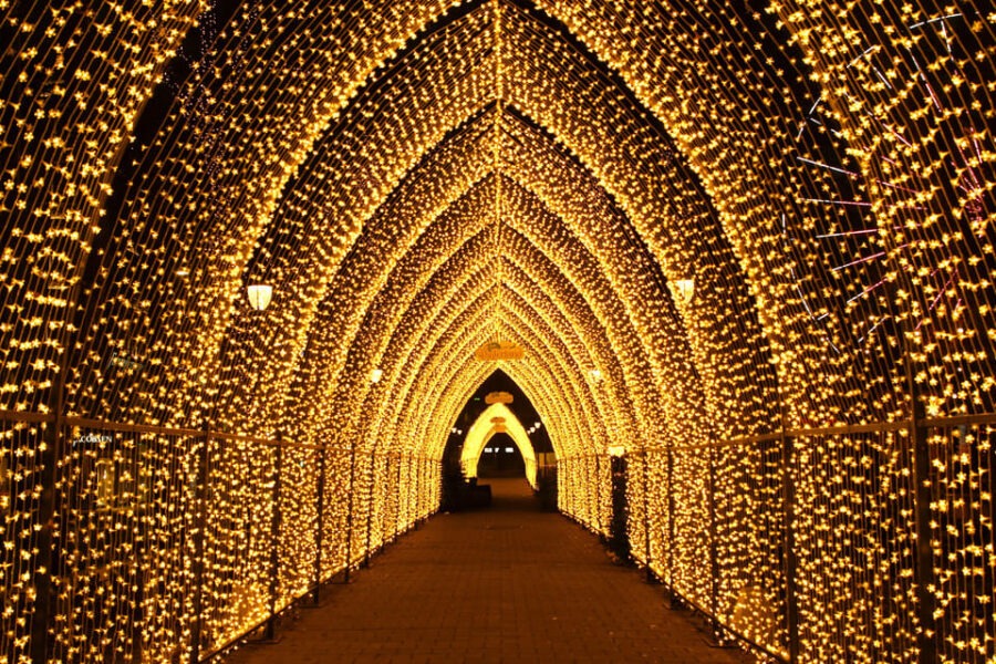 Oslo: 2-hour Christmas Private Walking Tour - Starting at the Nobel Peace Center in Oslo