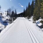 Oslo: 3-hour Cross Country trip with equipment and guide - Starting Point at Trollvannsveien 3 and Equipment Pickup