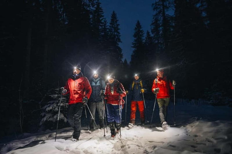 Oslo Forest: Mystery Nocturne Walk with Headlamps - The Route from Backstube Opera to Frognerseteren